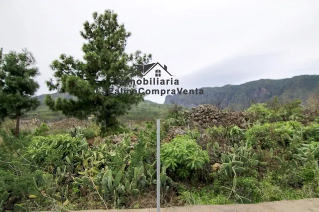 Solar residencial en Venta en Paso, El Santa Cruz de Tenerif - foto 5