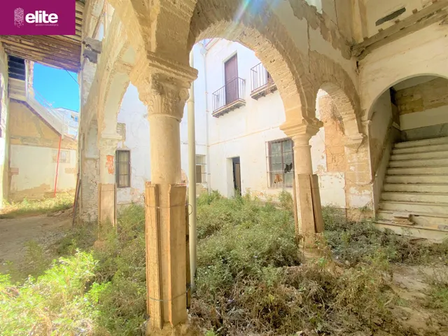 OPORTUNIDAD DE INVERSION MAGNIFICO PALACETE SEÑORIAL  EN EL CENTRO — 8