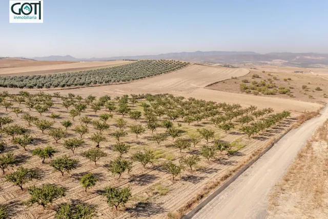 Terreno rural en venta - Otura — 11