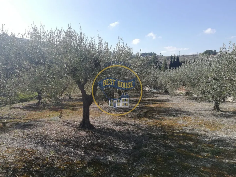 TERRENO AGRICOLA EN ONTINYENT
