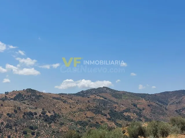 ¡Naturaleza, espacio y posibilidades a solo 7 minutos de Colmenar! — 4