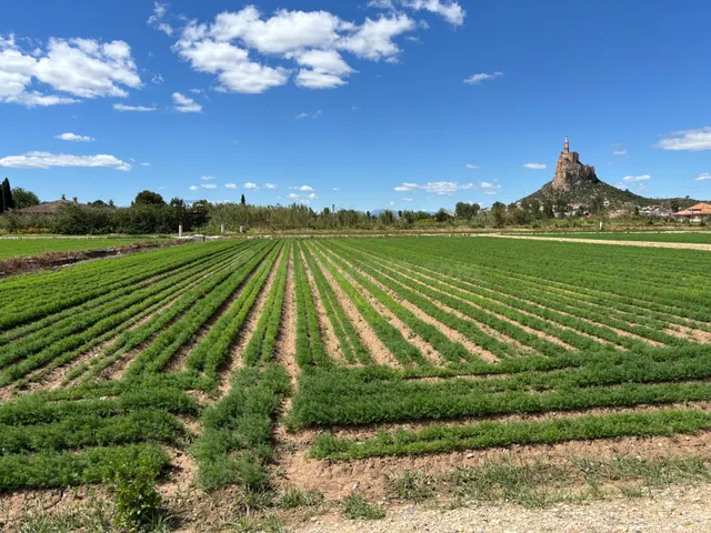 PARCELA URBANA EN VRDA DE LA CUEVA MONTEAGUDO — 2