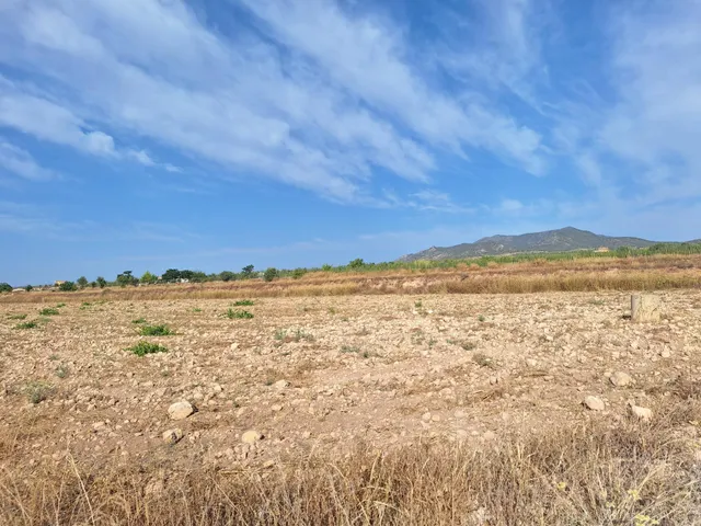¡Parcela edificable de 16964 m2, vallada, con agua de riego y muy buen acceso, a solo 5 minutos de Pinoso! — 13