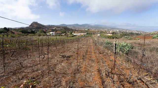 Terreno urbano en Tacoronte. — 36