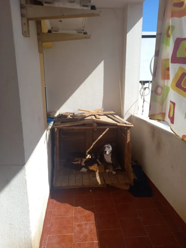 ¡ CASA PARA ENTRAR A VIVIR EN GUADALCAZAR ! — 37