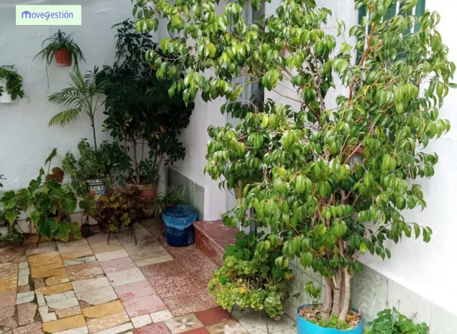 VENTA DE CASA EN UBRIQUE-BARRIADA ANTONIO VEGA — 6