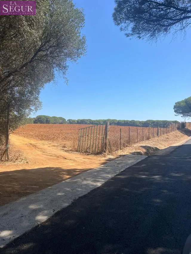 MAGNIFICA PARCELA EN LA MUELA — 11