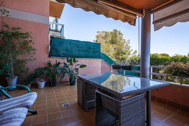 PLANTA BAJA  RESIDENCIAL EN LAS PALMERAS — 3