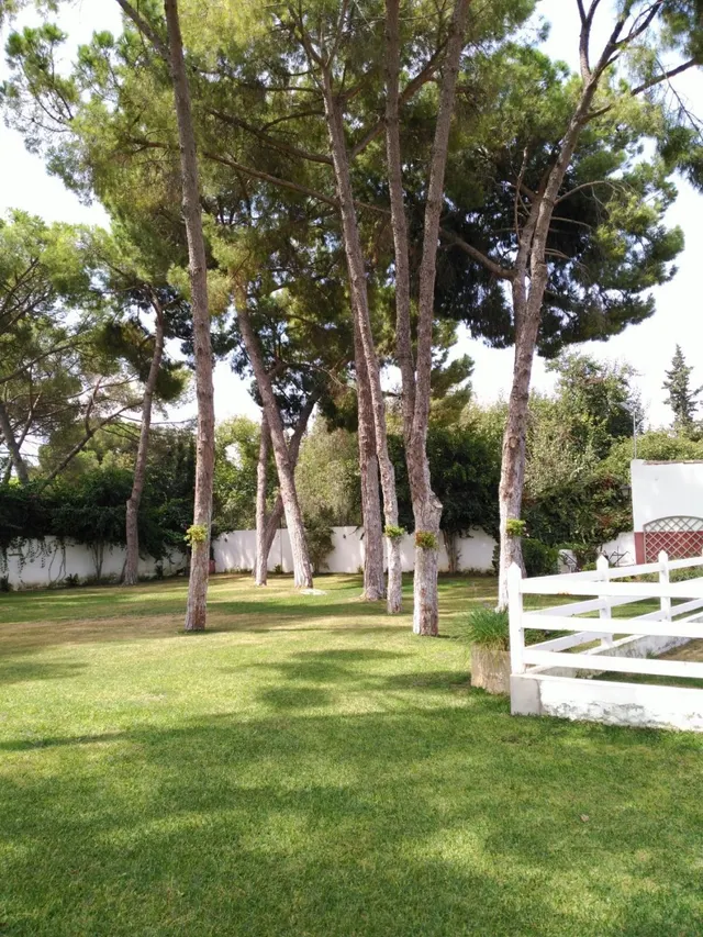 FANTÁSTICO CHALET EN LA JARA — 7