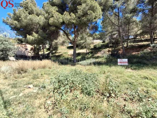 Gran parcela urbana con doble acceso y alto potencial en Cun - foto 2