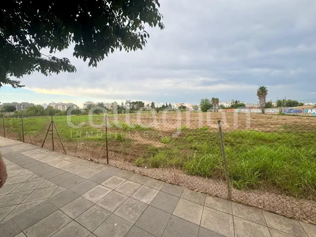 Terreno de 15.751 m2 en Burriana junto a polo comercial - foto 2