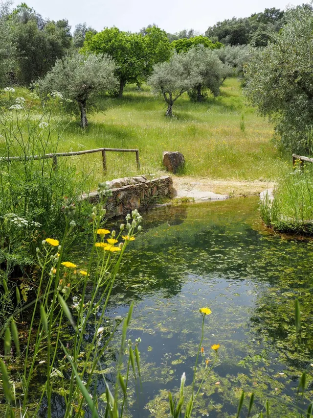 CASA DE CAMPO EN VENTA EN MADROÑERA - CÁCERES - foto 5