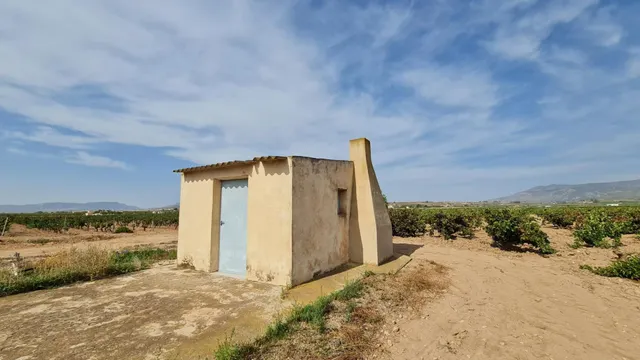 Terreno rústico en venta cerca Pinoso (Alicante) — 6