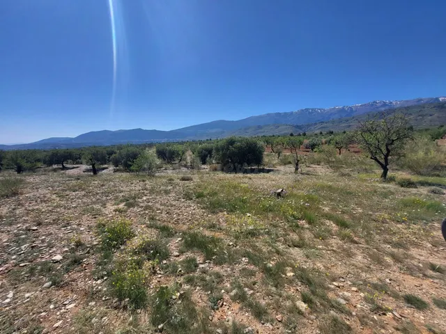 SE VENDE PARCELA RUSTICA EN ABRUCENA ZONA CAMPILLO - foto 4