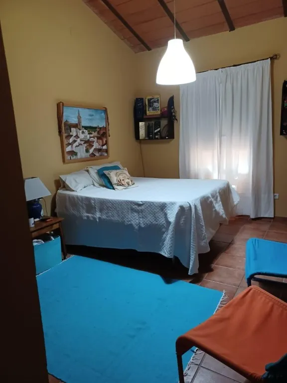 Magnífica casa de campo con piscina y vistas a Moguer, en finca de casi 15.000 m2 — 19