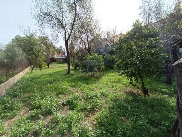 Parcela urbanizable en Campolivar. / HH Asesores, Inmobiliaria en Burjassot/ — 7