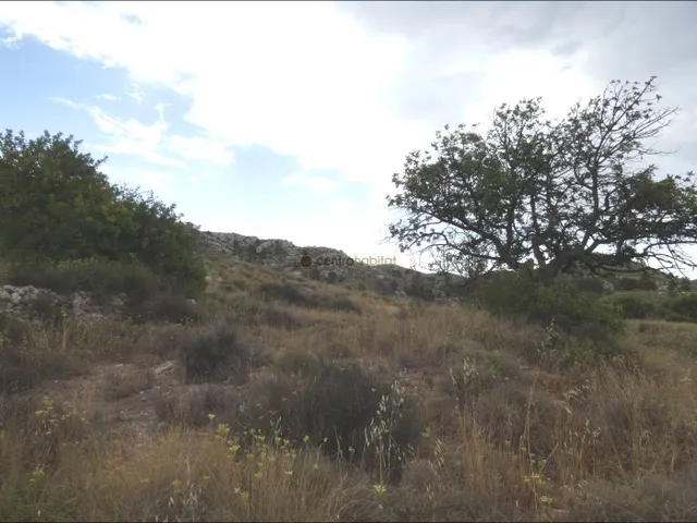 Terreno rural zona los colegiales — 7