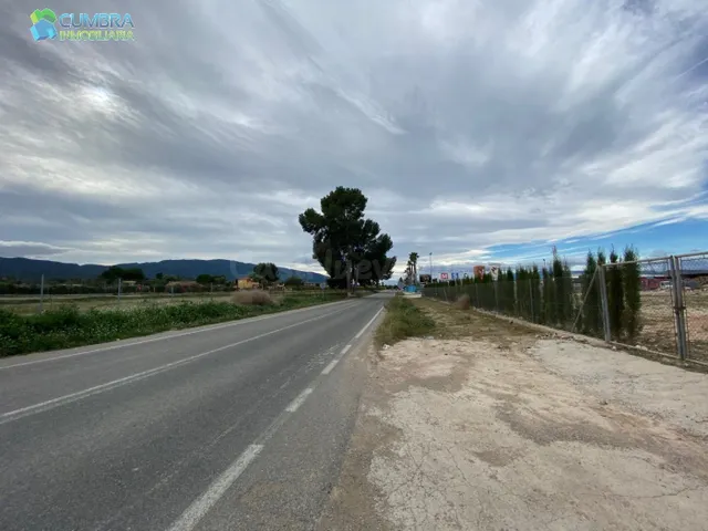 FINCA UBICADA EN PARAJE DE TORREGUIL - foto 4