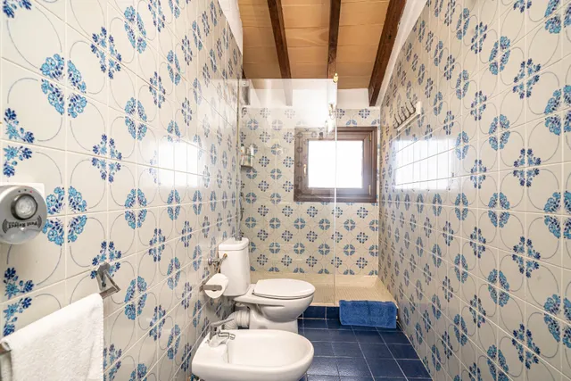 Finca Rustica junto a Puig de Randa — 30