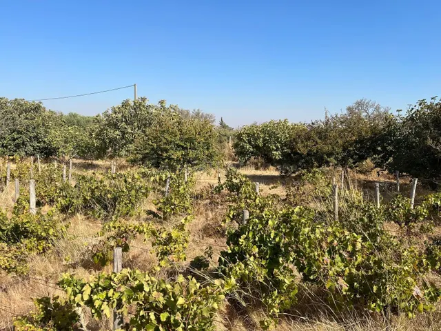 TERRENO RÚSTICO SEGREGADO de 3.000 m2 – Zona El Marquesado (