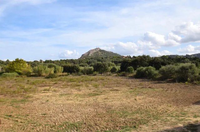 Finca con vivienda para alquiler de temporada en Alcudia — 24