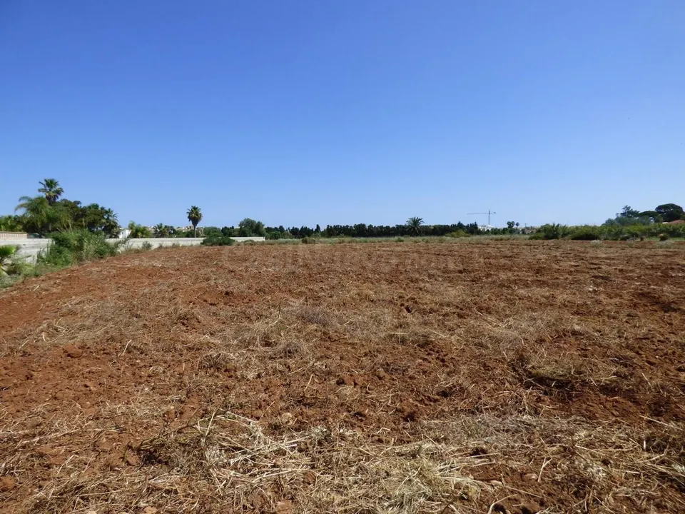 Terreno rural en venta - La Pedrera-Vessanes