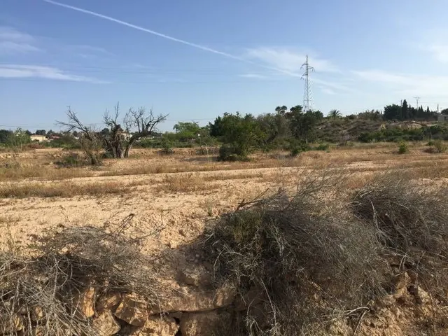 Parcela urbana de casi  30.000m2 en Elche - Zona Pena Las Aguilas — 9