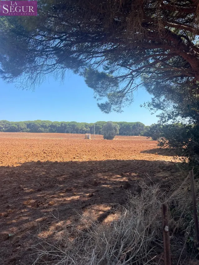 MAGNIFICA PARCELA EN LA MUELA - foto 5