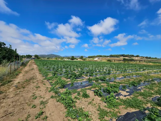 Terreno agricola en venta en Malgrat de Mar — 19