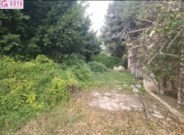 FINCA RUSTICA EN VILLAFRANQUEZA - foto 2