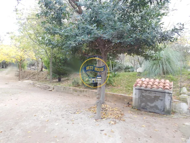 CASITA DE CAMPO EN ONTINYENT. — 28
