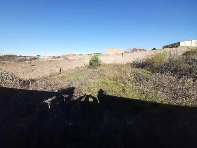 Parcela en Botija - foto 3