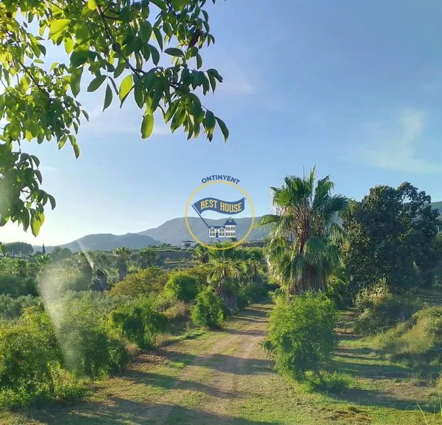 TERRENO CON POSIBILIDAD DE CONSTRUIR DOS CASITAS DE CAMPO MUY CERCA TÉRMINO AGULLENT — 4