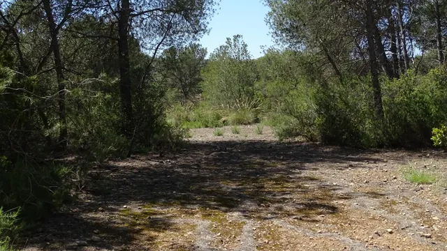 Terreno en venta en Vilamarxant — 22