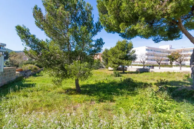 Parcela 60m² en venta - Cala Ratjada - foto 4