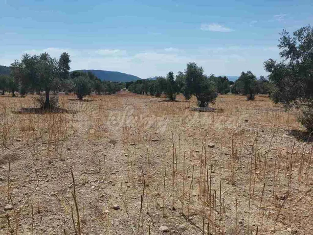 Suelo urbanizable en Venta en Biar Alicante - foto 4