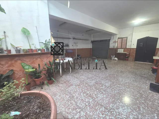 Edificio exclusivo con dos viviendas independientes en Miral - foto 4