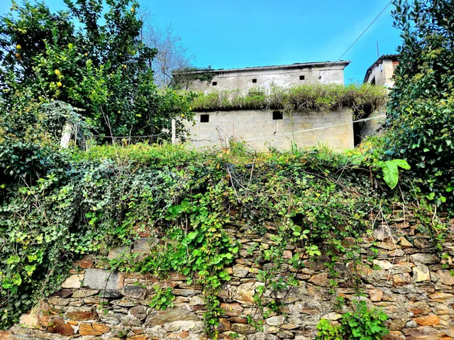 PRECIOSA CASA CON CAPILLA Y TERRENOS EN VILLAYON (ASTURIAS) — 35