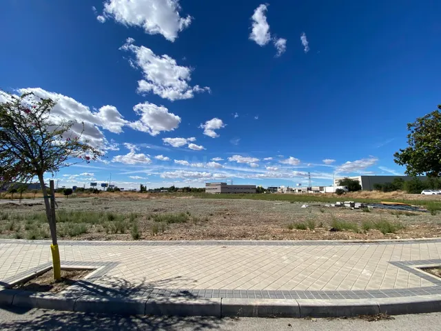 ALQUILER de Suelo Terciario-Comercial en la ZONA EL OLIVAR