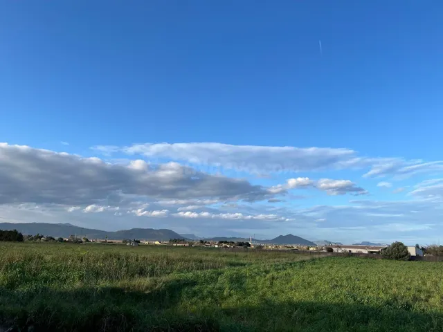 Encantadora Finca Rústica en Muro - ¡Tu Refugio Natural Espe - foto 3