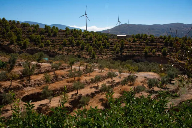 ENCANTADOR CORTIJO CON VISTAS PANORÁMICAS EN LANJARÓN — 11