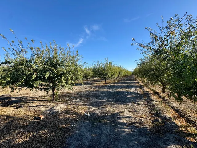 TERRENO RÚSTICO EN VENTA EN CHAUCHINA – 3.146 m2 CON POZO Y  - foto 5