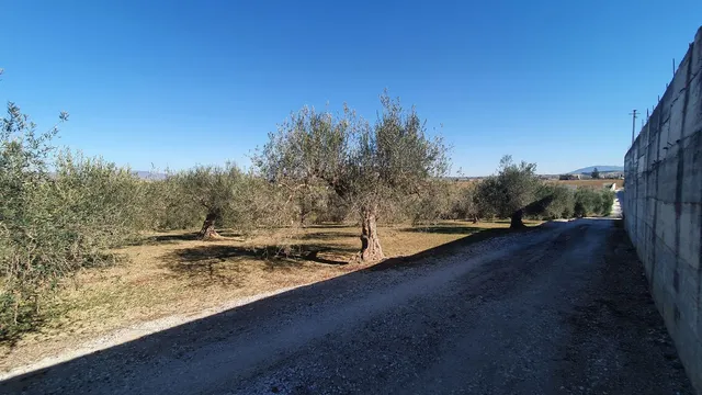 Parcela en venta - Costa del Sol - foto 2