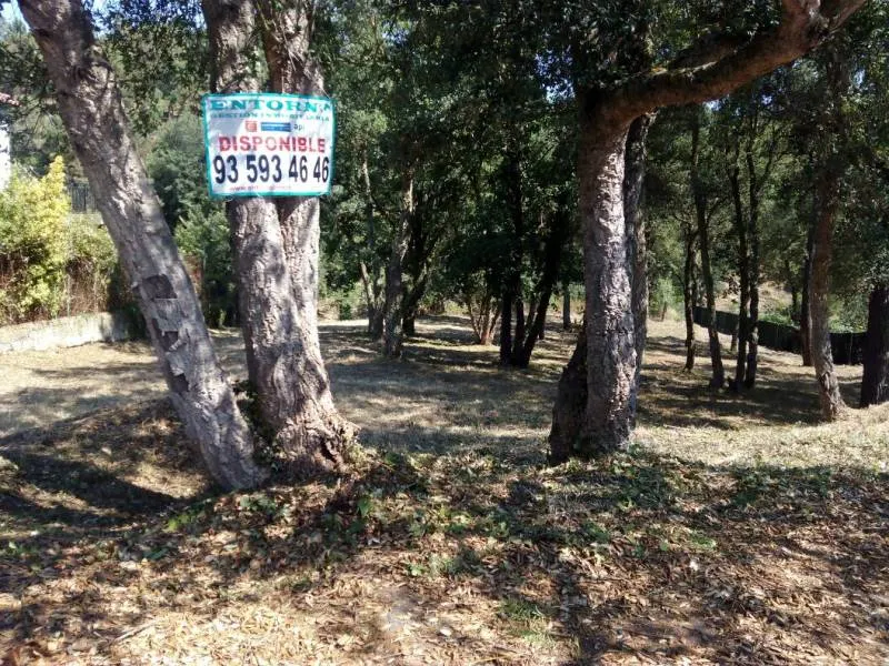 A 7 KM DE LA PLAYA DE BLANES --  se venden parcela