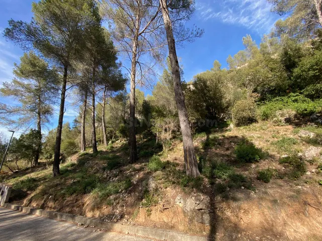 Venta de Terreno en plena naturaleza en Corbera de LLobregat - foto 4