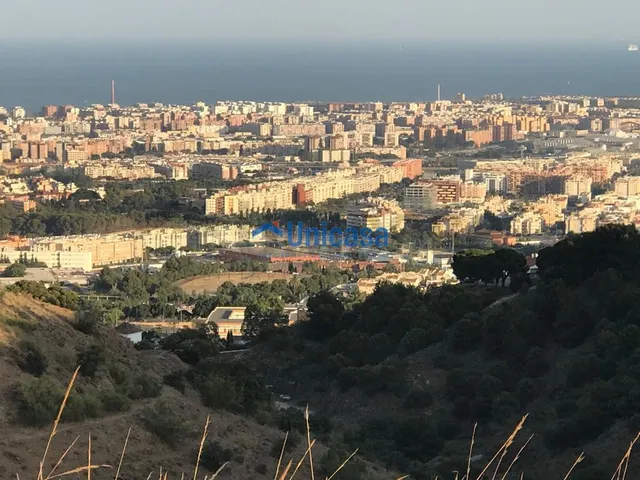 Terreno rústico de 3.000 metros en Zona entre Los Morales y  - foto 4