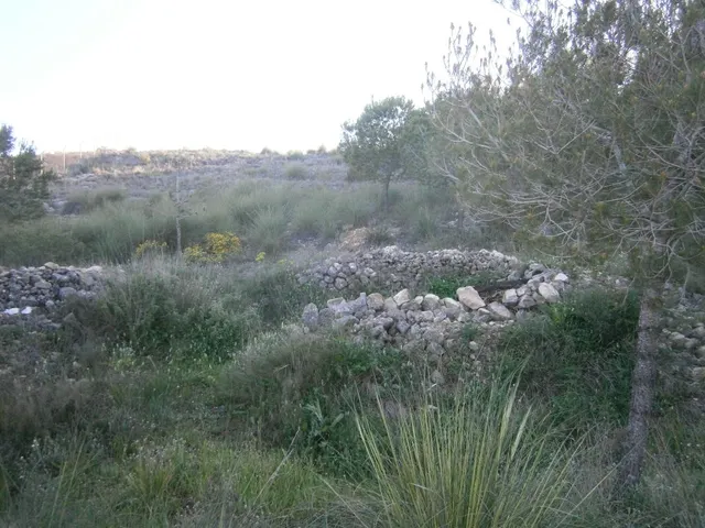 CASA DE CAMPO EN MONOVAR — 24