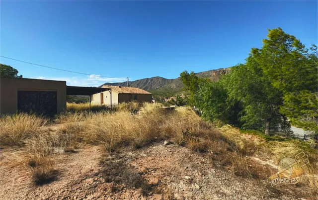 Auténtica casa para renovar en Ricote — 12