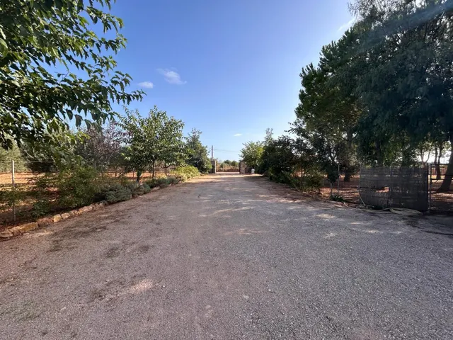 Finca en Son Mesquida: un proyecto de vida en el campo mallorquín — 18