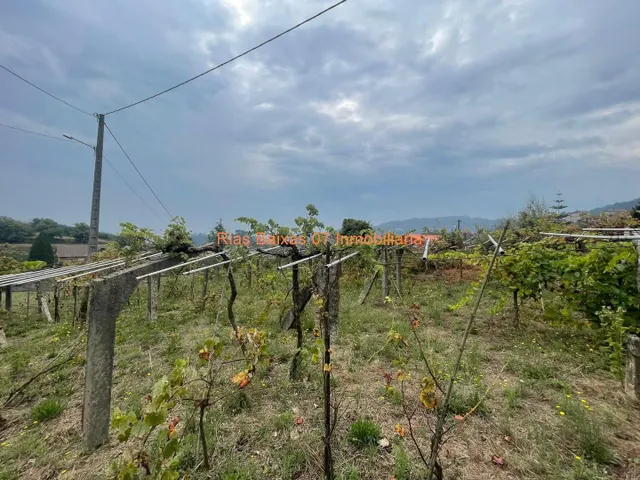 REF 4183 SOLAR DE 836m2 EN ZONA ALTA Y VISTAS DESPEJADAS TAMEIGA ( MOS ) — 2